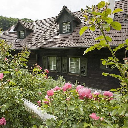 Das Altsteirische Landhaus - La Maison De Pronegg - Feriendomizil Im Biosphaerenpark Wienerwald Pressbaum Værelse billede