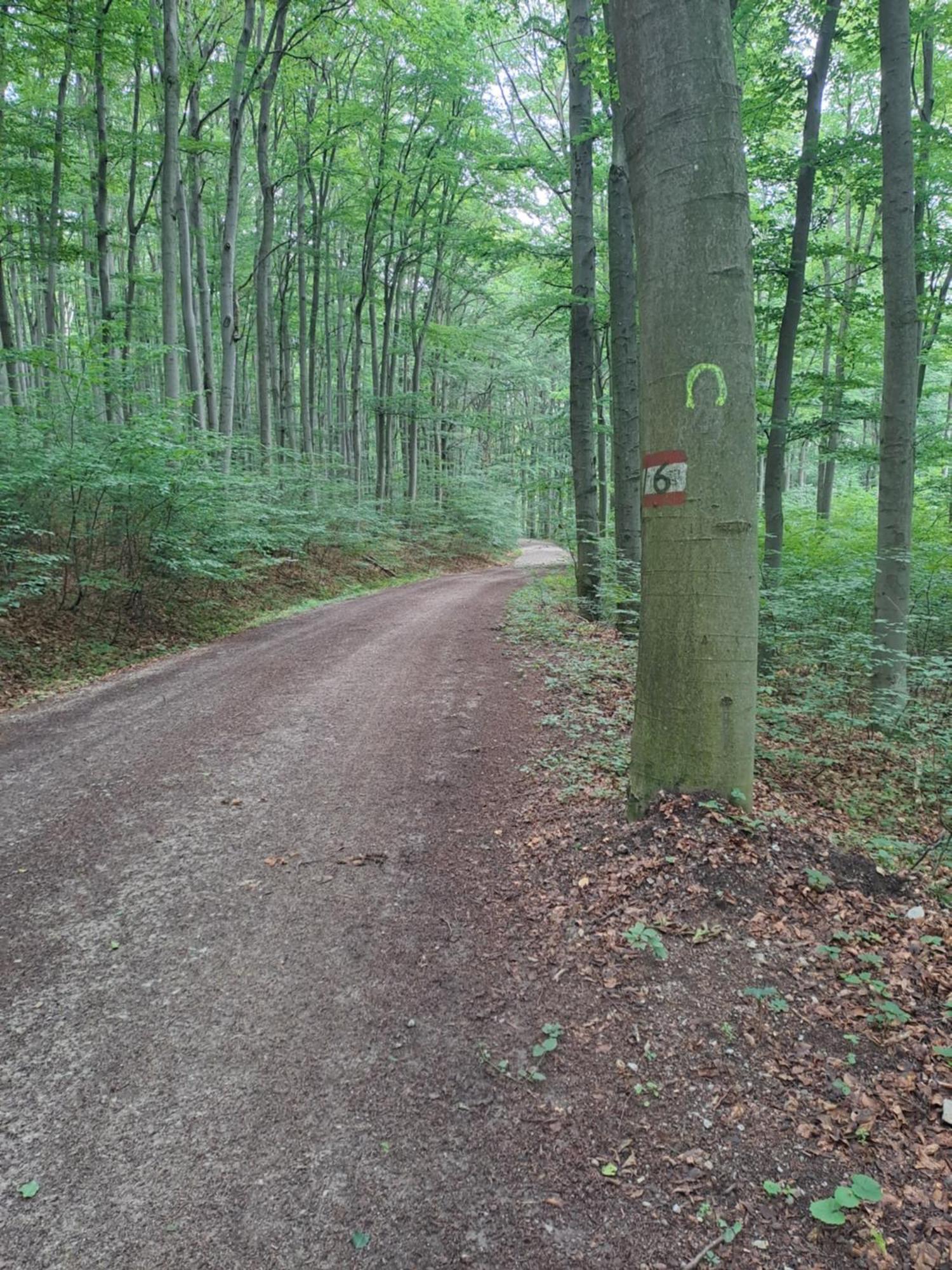 Das Altsteirische Landhaus - La Maison De Pronegg - Feriendomizil Im Biosphaerenpark Wienerwald Pressbaum Eksteriør billede