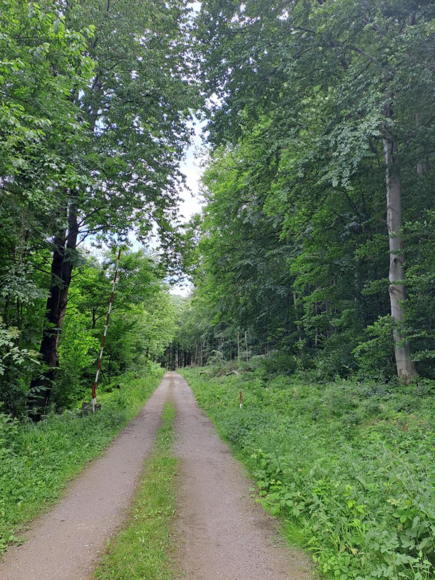 Das Altsteirische Landhaus - La Maison De Pronegg - Feriendomizil Im Biosphaerenpark Wienerwald Pressbaum Eksteriør billede